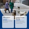 Безопасно для животных - Зимний реагент для таяния снега и льда - Очиститель для бетонных полов и улиц