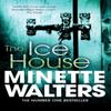 The Ice House by Minette Walters Paperback Book 9781447207863