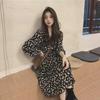 Women's Floral V-Neck High Waist Long-Sleeve A-Line Dress for Spring/Summer 2024