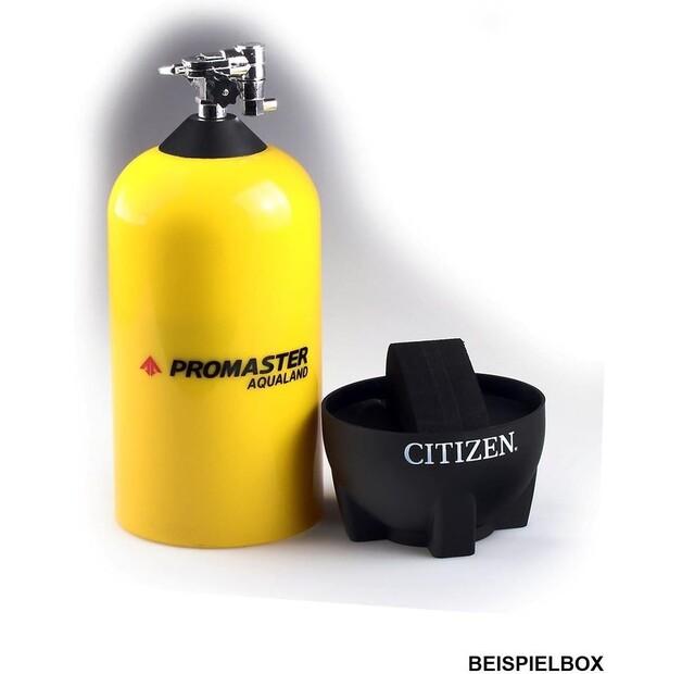 Citizen AW1765-88X Eco-Drive Watch