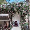 Simulated Rose Vine Door Decoration – Perfect for Check-In Backgrounds and Mall Landscaping