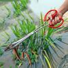 Extra Long Anti-slip Tooth Clamp Red Handle Seafood Hand Tool  Ricefield Eel Fishing