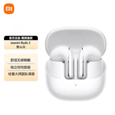Беспроводные наушники Xiaomi Buds 5