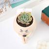 Горшок для растений Face Resin Buddy on Toilet Flowerpot Настольный декор для суккулентов