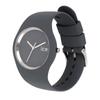 Авторизованный дистрибьютор Ice watch унисекс 021148 ICE ANY Серый Средний [Ice watch] мужские