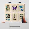 Бабочка Палеобиос Винтажный Плакат Папильоны Печать Холст Картина Биология Животное Настенное Искусство Картина Современное Украшение Кабинета