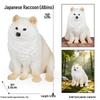 Cute Animal Models: Japanese Raccoon, Flying Squirrel, Monkey, Rabbit, Squirrel, Shiba Inu, Tiger, Lion, Lizard Toy Set