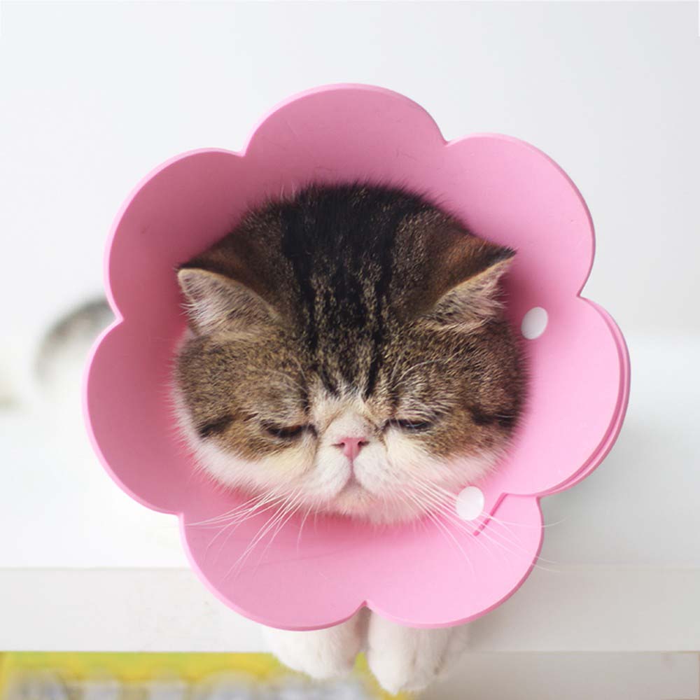 Healing Anti-bite EVA Pets Protective Collar Neck Cone Recovery Elizabethan Collar Protection Cover
