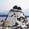 Аниме Плед Флис Весна Осень Японский Дадзай Осаму Плед для Дивана Спальни Постельное белье Пледы