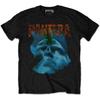 Черная футболка Pantera 'Far Beyond Driven'