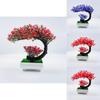Pinus Hwangshanensis Mini Plastic Bonsai Landscape Ornament For House Interior Decoration