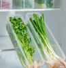 Коробки для хранения в холодильнике, контейнер для свежих продуктов с луком-пореем, контейнер для продуктов, криспер для холодного хранения, герметичный органайзер для холодильника с крышкой, банки