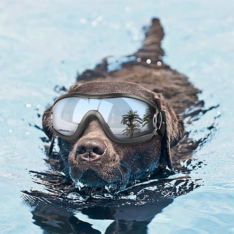 Очки для питомцев Собачьи принадлежности Очки Водонепроницаемые Ветрозащитные Солнцезащитные УФ-защитные Очки для больших собак LS