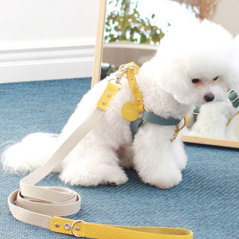 MAISON DE MIU Running Mate Leather&Webbing Lead_Yellow