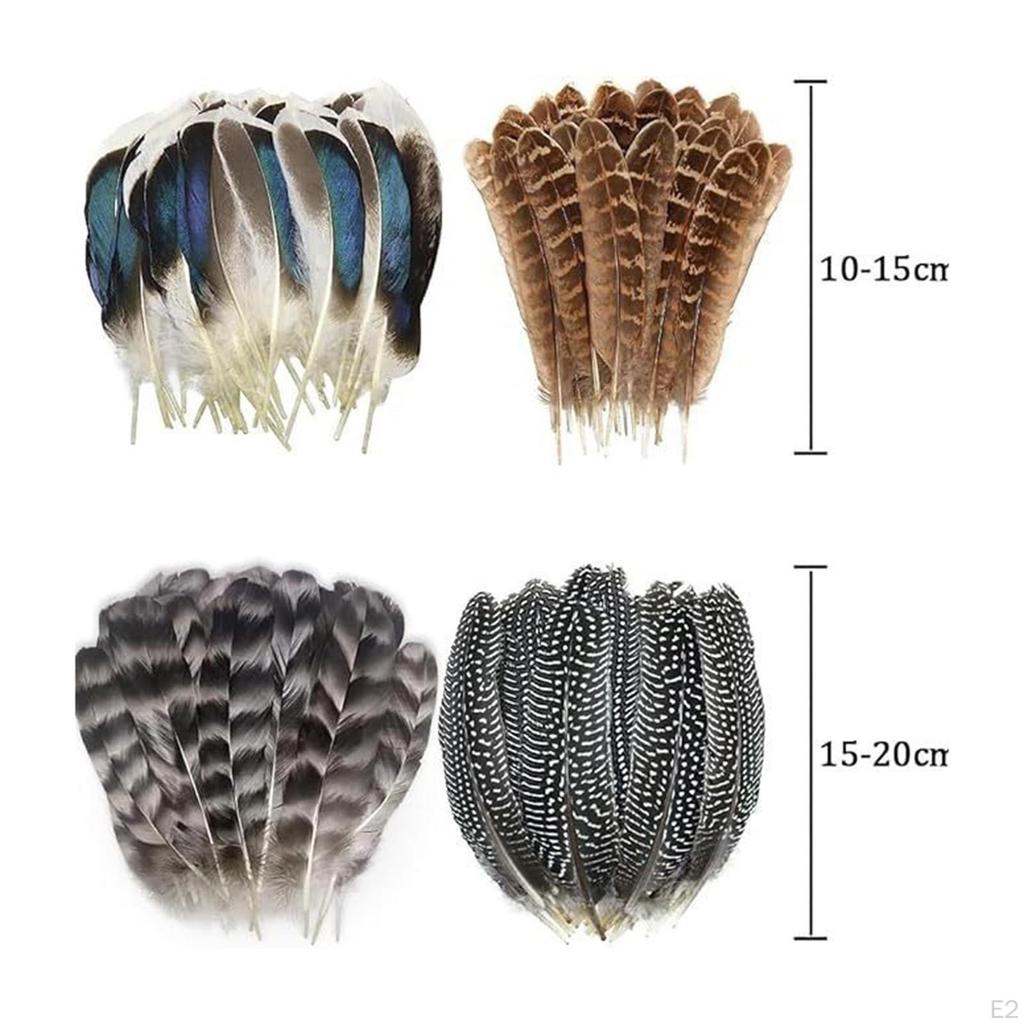 Crafts Feathers Artificial Feather Decorative Art Supplies Ornament Colorful Handicraft