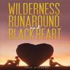 Wilderness Runaround and Black Heart by Paul Stevens Paperback Book 9781398488403