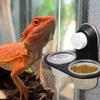 Кормушка для гекконов Поилки для гекконов Диспенсер с 4 стаканчиками Аксессуары-полки Поднос Эффективное кормление Ящерицы Хамелеоны Раки-отшельники