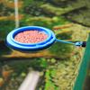 Fish Feeder Ring Fixed Feeding Area Food Tray Suspension Plastic Aquarium Floating Fish Food Ring with Suction Cup for Guppy Betta Goldfish