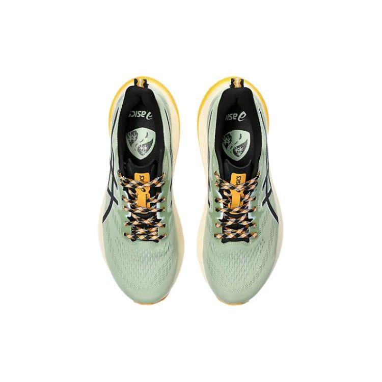 Asics GT 2000 12 TR Nature Bathing — Мужские кроссовки Green Fellow Yellow 1011B775-250