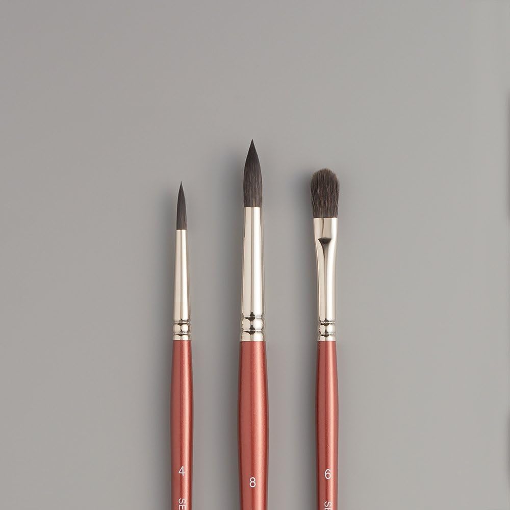 Holbein Paint Brush Set Watercolor Brush squirrel set 130315 [5] (mixed hair) 3-piece