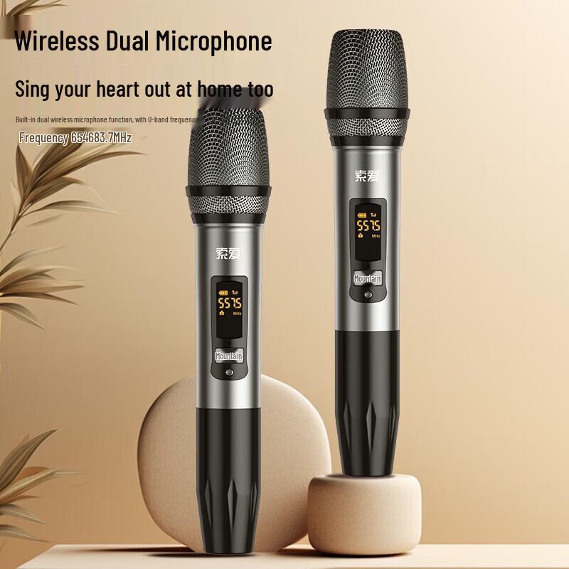 Soaiy SA-X15 Home KTV Karaoke System with Dual Microphones CN plug (adapter included)