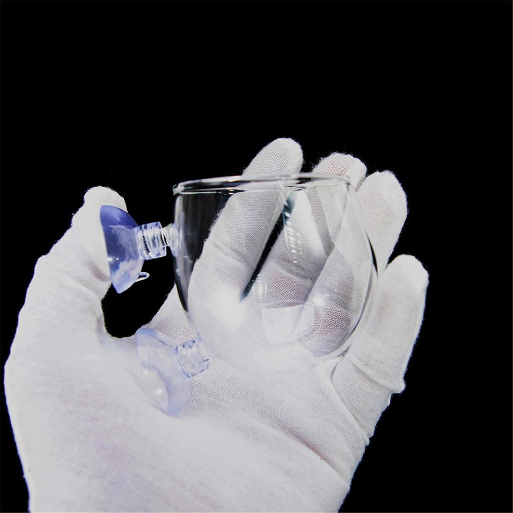 Aquarium Plant Cup Glass Plant Holder for Fishtanks with Suction Cups for Hydroponic Plants and Fishtanks Landscaping