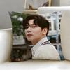 Популярная наволочка Jji Chang Wookable Cushion Cover Мягкая Легко стирающаяся Универсальная для дивана кровати путешествий и офиса