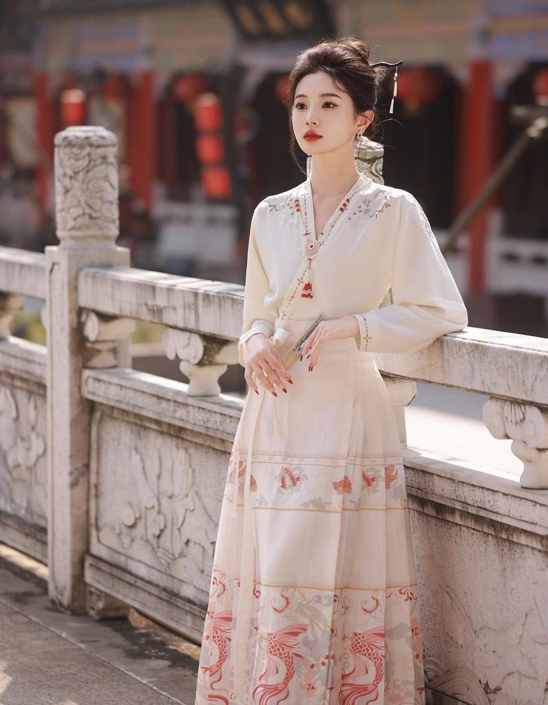Ming Dynasty-inspired Embroidered Hanfu Skirt and Top Set