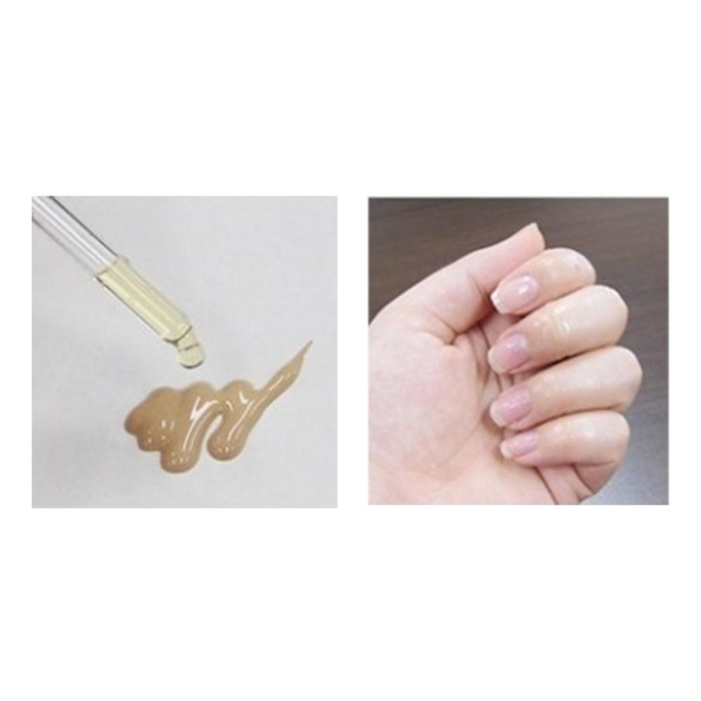 Skineye Натуральное ферментированное масло камелии, 20 мл, 6 шт.