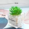 Desktop Bookshelf Decor: Faux Succulent Cactus with Dried Flowers