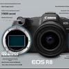 Canon Полнокадровая беззеркальная камера EOS R8 (Китайская версия)