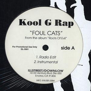 12-дюймовая пластинка KOOL G RAP - Foul Cats DL3001 Illstreet / Dow 1998 США Рэп и Хип-хоп/R&B Б/У