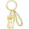 Canal B2181121 Animal Friends Charm Chihuahua
