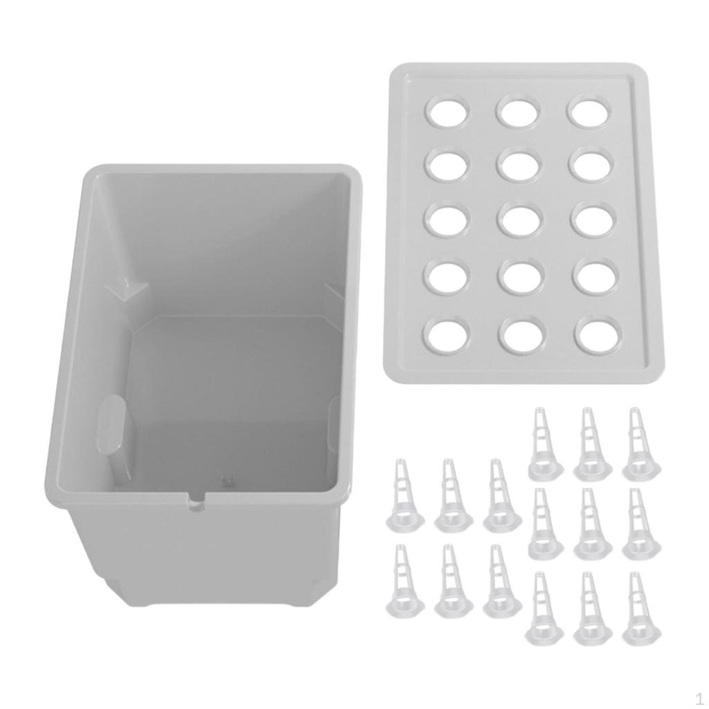 Garden Set with Watering Container And Practical Division for Easy Care Kitchen, Classroom