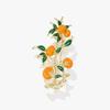 Orange Brooch High-End Women'S Exquisite Chinese Style Corsage High-End Fruit Pin Suit Coat With Accessories