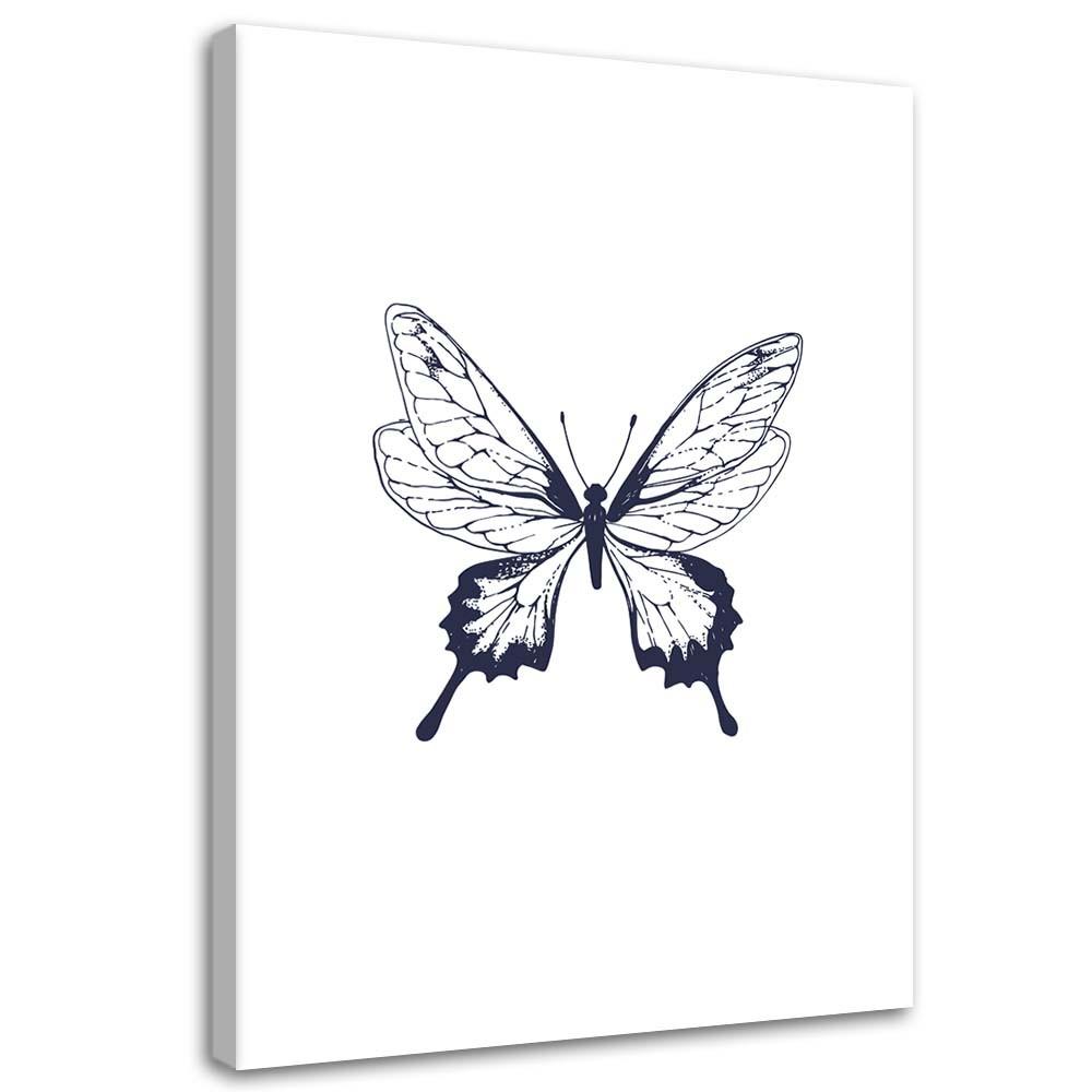 Холст, Нарисованная бабочка