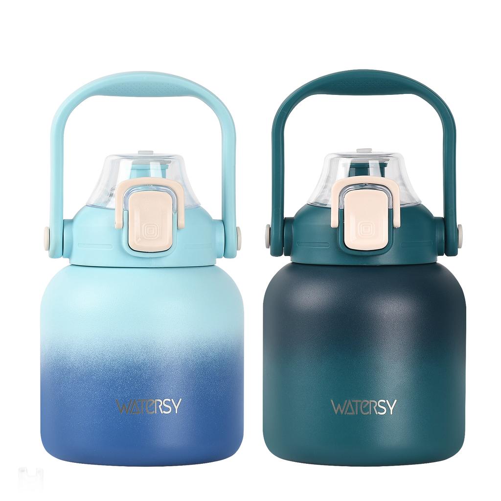 WATERSY 2Pcs 800ml Double Wall Vacuum Insulated Stainless Steel Water Bottle with Straw Thermal Cup for Travel Gym and Office