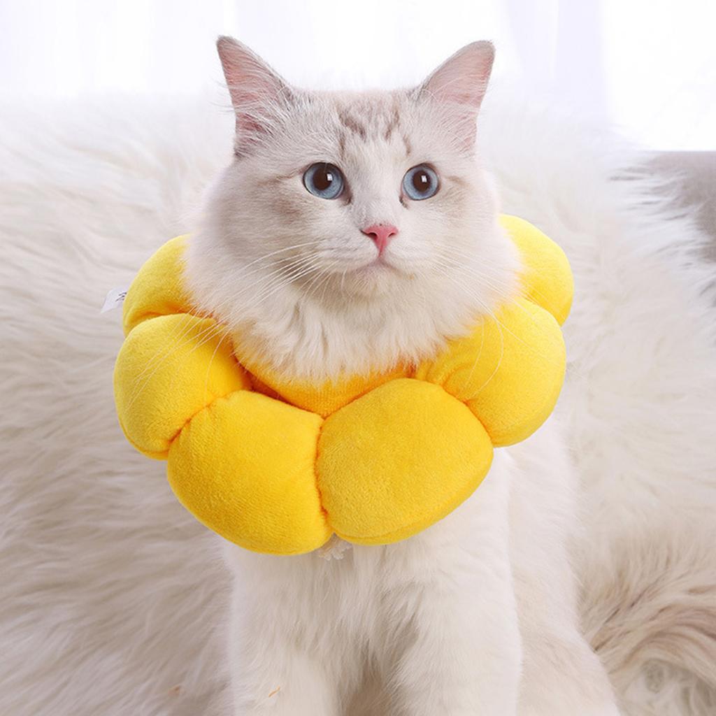 Sunflower Padded Elizabethan Collar for Cats Soft Anti Licking Pet Accessory