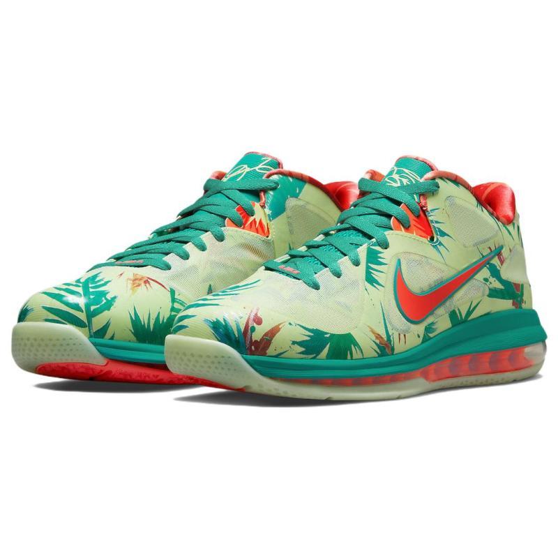 Nike Кроссовки LeBron 9 Low 'LeBronold Palmer' DO9355-300