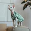 Collar Air Conditioner Suit Stretch Cotton Vest Vest Easy To Wear Ren Fa Cai Hairless Cat Clothes Sphinx Cat
