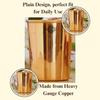 Glass - 275 ML Tumbler, Copper Drinkware & Serveware, Ideal for Water Drinking, Perfect Gifting Option for Festivals and Special Occasions, Set of 2