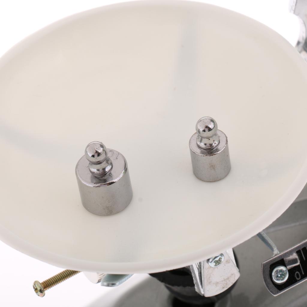Double Pan Balance, 100g Capacity, Single Beam Analytical Weighing Learning