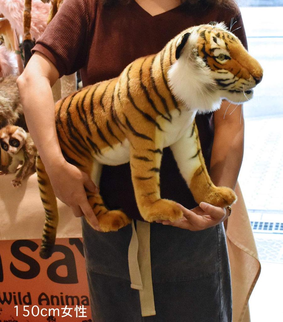 BH5332 HANSA Тигр 70