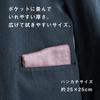 Top Factory Imabari Imabari Towel Handkerchief 25cm x 25cm Cotton Set Imabari Iroha Plain Gauze Green 25x25cm