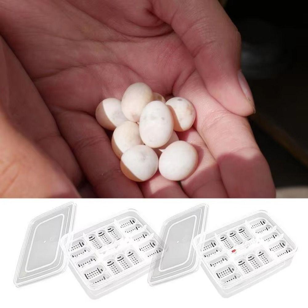 16 Grids Reptile Hatch Box with Thermometer Reptile Breeding Hatchery  Incubator Supplies