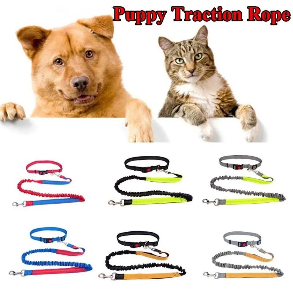 Double Stretch Pet Walking Leash Waist Belt Dog Traction Rope Hand Free Dog Leash  Jogging