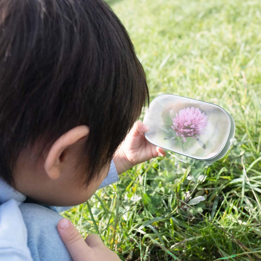 Рама Гулливер +d (чистый)