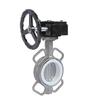 Stainless Steel Worm Gear PTFE Butterfly Valve with Double Flange and Manual Handle D371F-10P