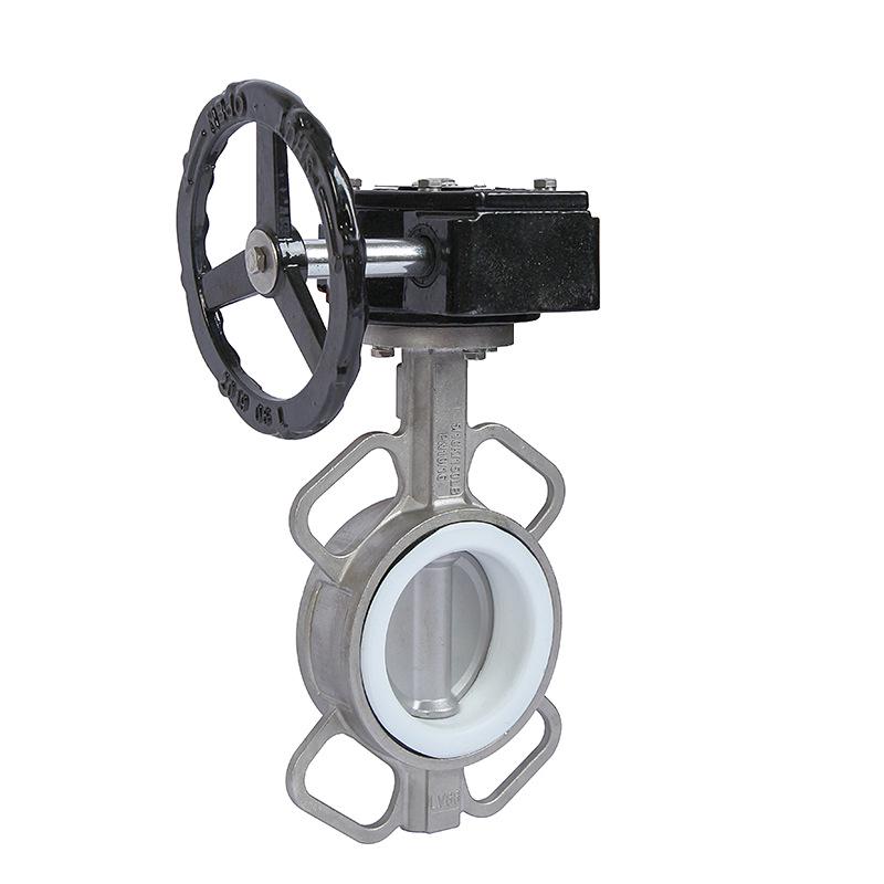 Stainless Steel Worm Gear PTFE Butterfly Valve with Double Flange and Manual Handle D371F-10P