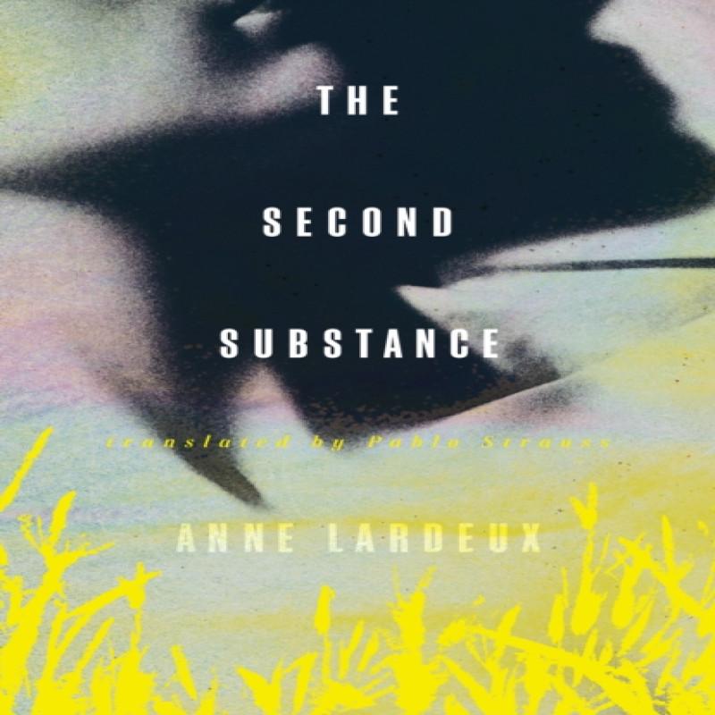 The Second Substance by Anne Lardeux Paperback Book 9781552454398